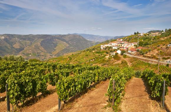 Wijngebied Douro in Portugal