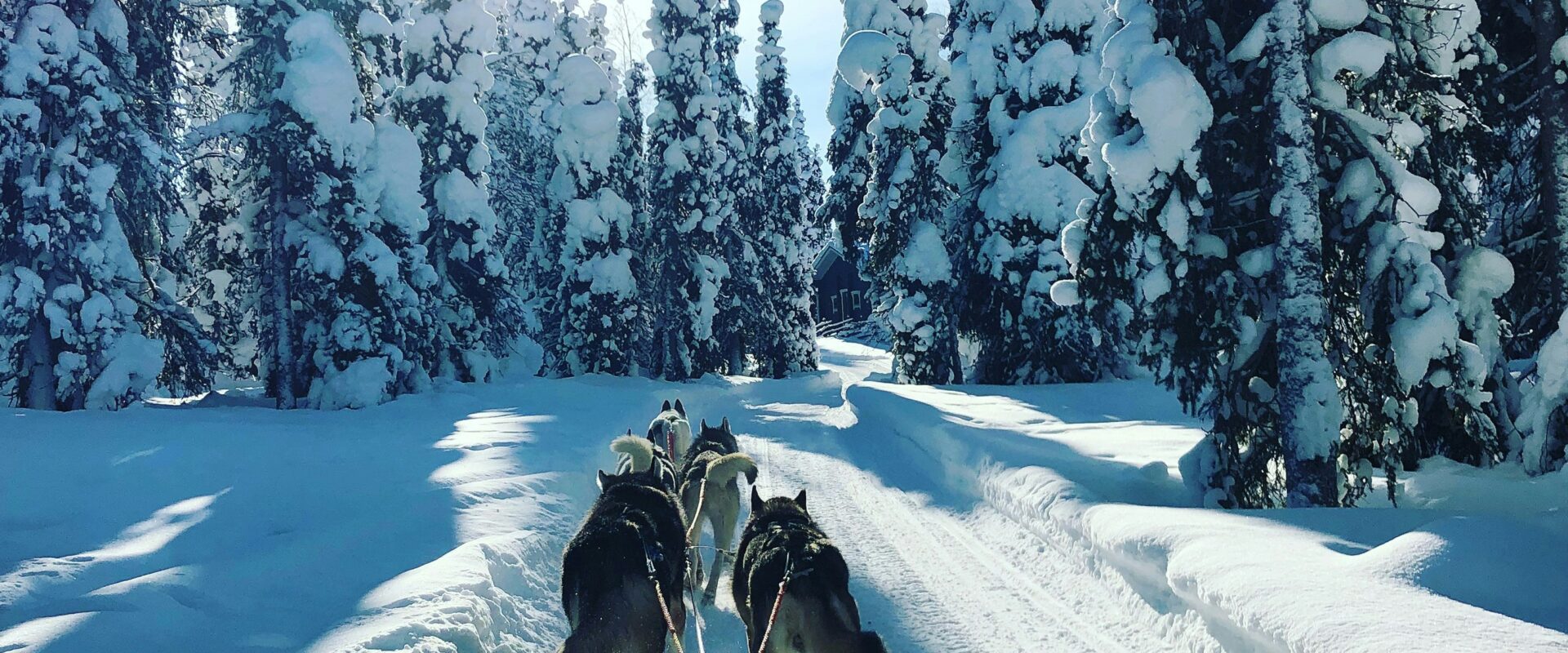 Lapland