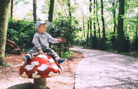 De leukste vakantieparken in Nederland