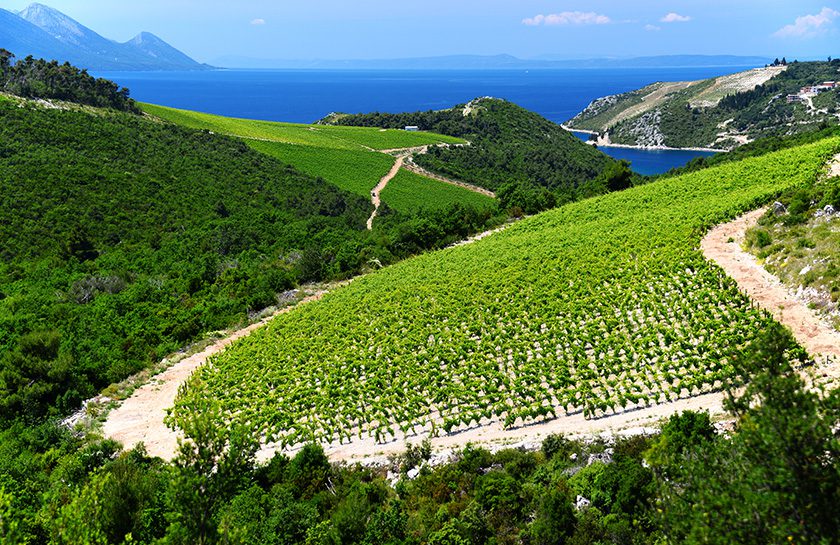 Dalmatië
